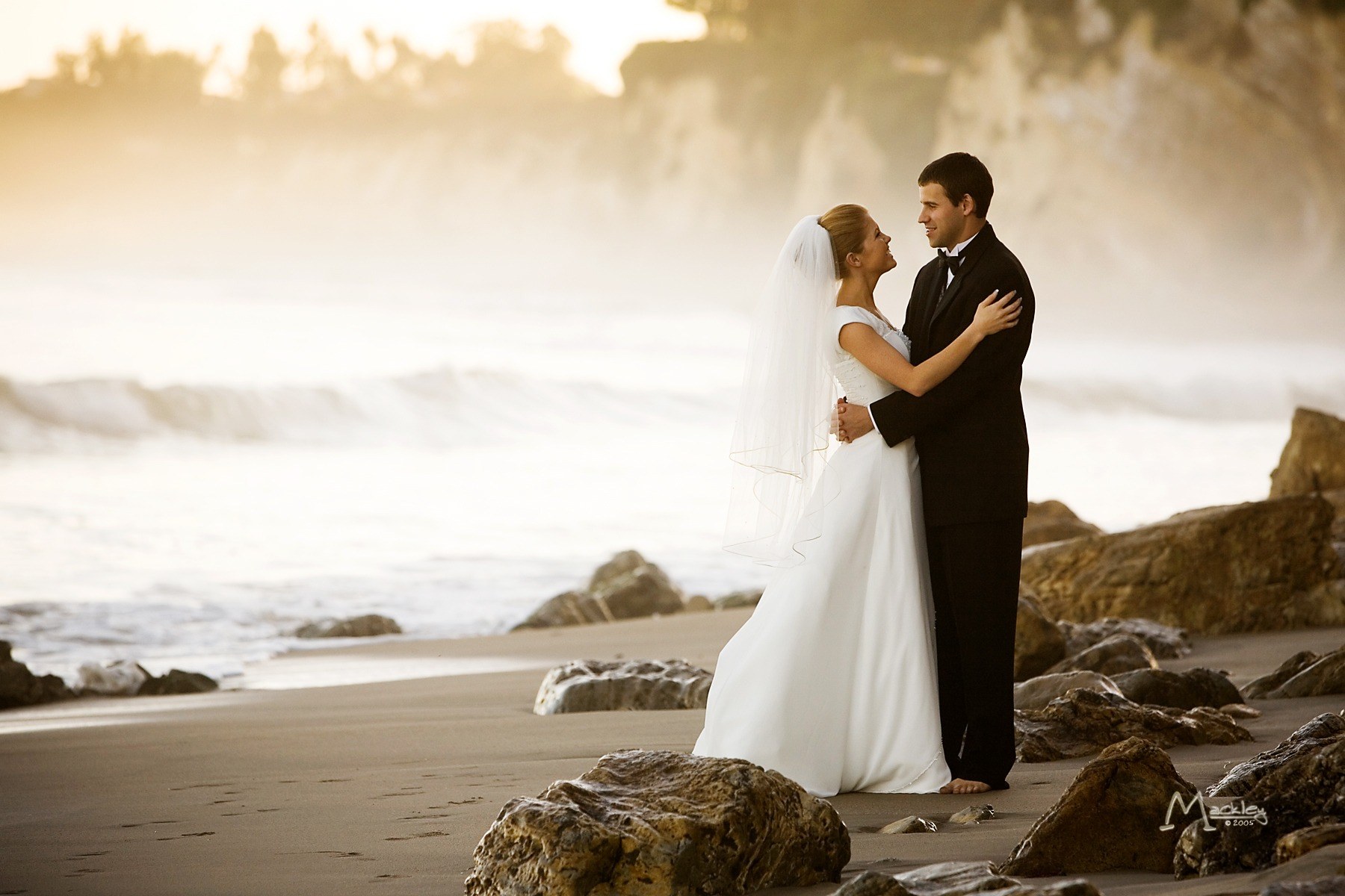 Weddings / 14