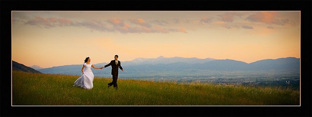 Weddings / 17